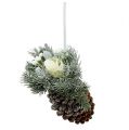 Floristik24 Pommes de pin avec décoration à suspendre blanc 25cm - 30cm