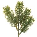 Floristik24 Branches de sapin artificielles vertes pour décorations hivernales, 25 cm, lot de 24.