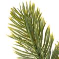 Branches de sapin artificielles vertes pour décorations hivernales, 25 cm, lot de 24. | Floristik24.be