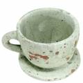 Floristik24 Cache-pot tasse avec soucoupe vintage gris, argile naturelle Ø8cm H6.5cm 4 pièces