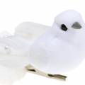 Floristik24 Pigeon avec perles et clip blanc H4.5cm 12pcs