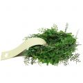 Floristik24 Guirlande de feuilles de thé artificielles 3 m