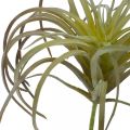 Floristik24 Tillandsia artificiel à coller vert-violet plante artificielle 13cm