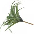 Floristik24 Déco Tillandsia artificielle plante artificielle à coller vert Ø45cm