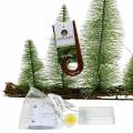 Floristik24 Décoration de table forêt d&#39;hiver avec LED verte 100cm 60L