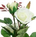 Floristik24 Décoration de table rose blanche en pot 23 cm