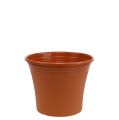 Floristik24 Pot “Irys” plastique terre cuite Ø15cm H13cm, 1pce