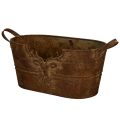 Floristik24 Bol ovale en métal avec anses, motif cerf, finition rouille, 36 cm