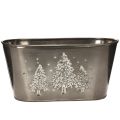Floristik24 Pot de fleurs ovale orné d'un sapin en relief, 25 cm