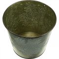Floristik24 Cache-pot avec décoration d&#39;automne, décoration en métal, jardinière d&#39;automne verte Ø18.5cm H17cm