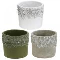 Floristik24 Vase en céramique, cache-pot avec décor chêne, cache-pot vert/blanc/gris Ø13cm H11.5cm lot de 3