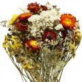 Floristik24 Bouquet de fleurs séchées Fleurs d&#39;immortelle et lavande de mer 125g fleurs séchées