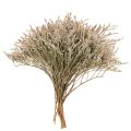 Floristik24 Bouquet de lavande de plage séchée (statice) 1 kg
