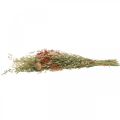 Floristik24 Bouquet de fleurs séchées céréales et coquelicots décor sec 60cm 100g