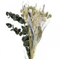 Floristik24 Bouquet de fleurs séchées chardon eucalyptus argent séché 64cm