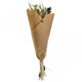Floristik24 Bouquet de fleurs séchées chardon eucalyptus argent séché 64cm