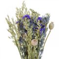 Floristik24 Bouquet de fleurs séchées Bouquet de fleurs des prés bleu H50cm 100g