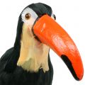 Toucan déco à plumes noir L37cm