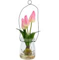 Floristik24 Tulipe rose dans le verre H22,5cm 1P