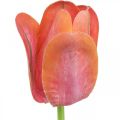 Floristik24 Tulipe fleur artificielle rouge, orange Fleur de printemps artificielle H67cm
