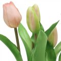 Floristik24 Tulipe rose, verte en pot Tulipe décorative artificielle en pot H23cm
