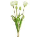 Floristik24 Tulipes en blanc et crème L43,5cm l’effet « real touch » 5P