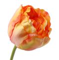 Floristik24 Tulipes en rose et jaune 86cm 3P