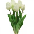 Floristik24 Tulipes Artificielles Blanc Crème Real Touch 38cm 7pcs
