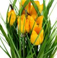Floristik24 Tulipes en pot jaune 30cm