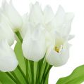 Floristik24 Tulipier blanc 30cm