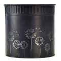 Floristik24 Jardinière Pot de Fleur Pissenlit Noir Ø15,5cm H15,5cm