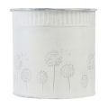 Floristik24 Pot de fleurs jardinière pissenlits blanc Ø10,5cm H12cm