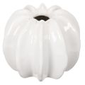 Floristik24 Vase en céramique en forme de citrouille, blanc, décoration intérieure, 15 cm