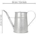 Arrosoir décoratif galvanisé, métal gris, style vintage, 1,7 L, H 23 cm, idéal pour les décorations florales et les jardinières élégantes. | Floristik24.be