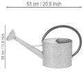 Arrosoir vintage en métal gris argenté, élégant objet de décoration de jardin, vase à fleurs, L 53 cm x H 29 cm | Floristik24.be