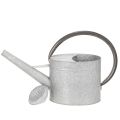 Arrosoir vintage en métal gris