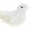 Pigeon floqué avec plumes et clip blanc 13,5cm 4pcs