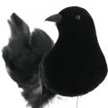 Floristik24 Pigeons sur fil, décoration mariage, pigeons noirs H7cm 4pcs