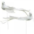 Floristik24 Colombes blanches, mariage, colombes décoratives, oiseaux sur fil H6cm 6pcs