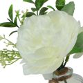 Floristik24 Décoration de table pivoine blanche dans un vase en verre artificiel 20cm