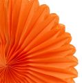 Floristik24 Fleur en papier alvéolé, orange, Ø 20 cm 3 p.