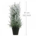 Floristik24 Genévrier artificiel en pot plante artificielle enneigée H47cm