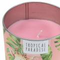 Floristik24 Bougie parfumée en canette forêt tropicale rose Ø9,5cm H8cm