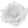 Floristik24 Cire rose blanche Ø10cm Fleur artificielle cirée 6pcs