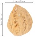 Noix décoratives, produit naturel, 3-4 cm, 300 g | Floristik24.be