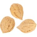 Noix décoratives, produit naturel, 3-4 cm, 300 g | Floristik24.be