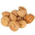 Floristik24 Noix, un produit naturel pour la décoration de table et les projets de bricolage. Noix naturelles, 4-5 cm, 300 g.