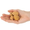 Noix, un produit naturel pour la décoration de table et les projets de bricolage. Noix naturelles, 4-5 cm, 300 g. | Floristik24.be