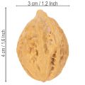 Noix, un produit naturel pour la décoration de table et les projets de bricolage. Noix naturelles, 4-5 cm, 300 g. | Floristik24.be