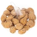 Noix, un produit naturel pour